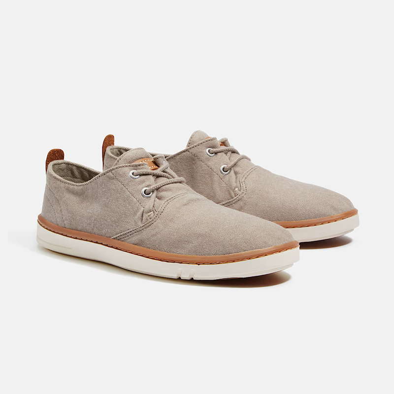 TIMBERLAND - HOOKSET LOW LACE UP SNEAKER LIGHT TAUPE CANVAS