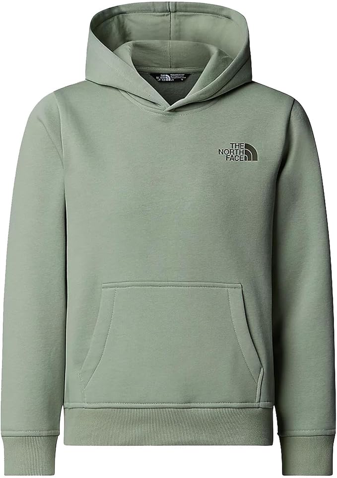 THE NORTH FACE - TEEN BOX NSE REGULAR HOODIE Slate Moss/New Taupe Gr