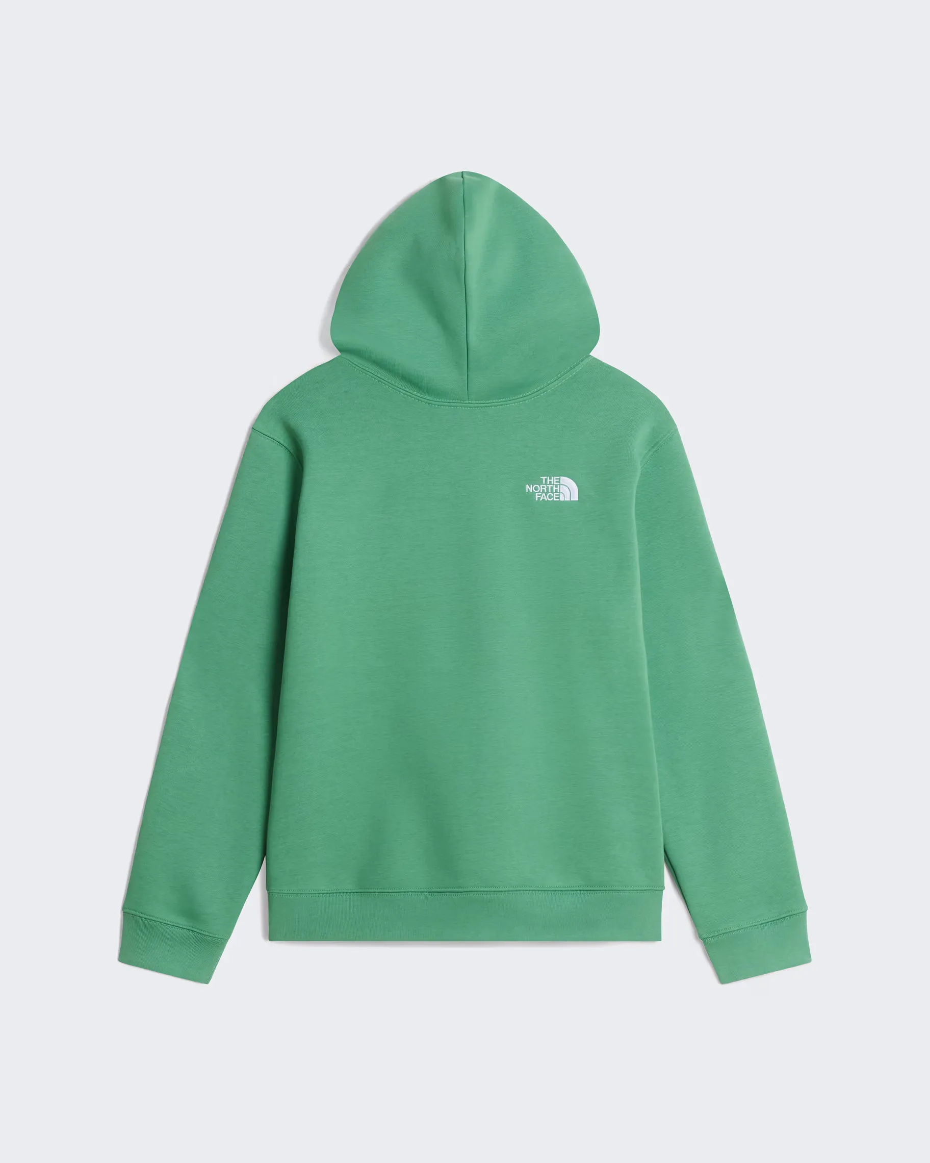 THE NORTH FACE - TEEN TNF ESSENTIAL DREW PEAK HOODIE Dimmed Algae