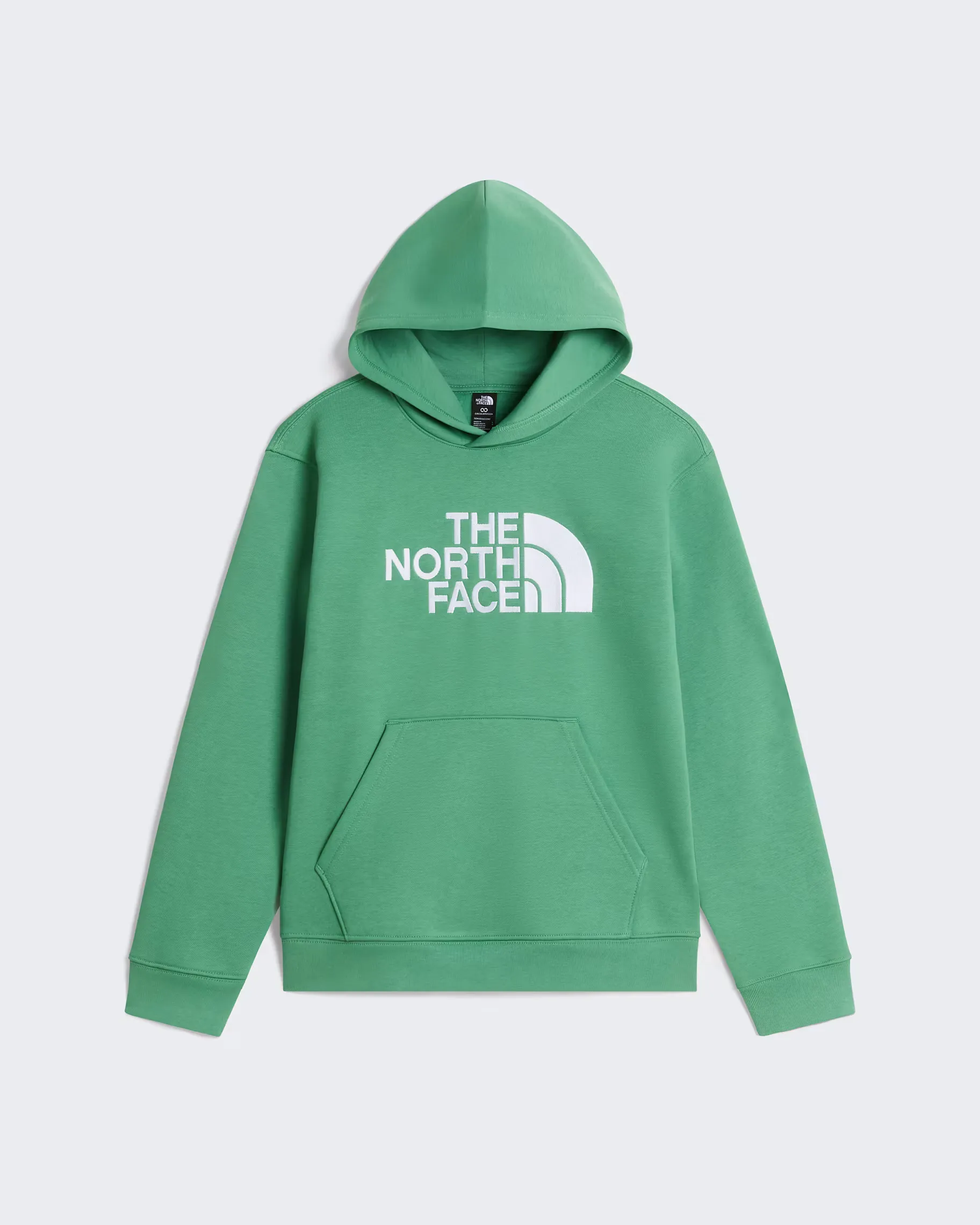 THE NORTH FACE - TEEN TNF ESSENTIAL DREW PEAK HOODIE Dimmed Algae